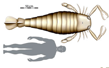 scorpionman